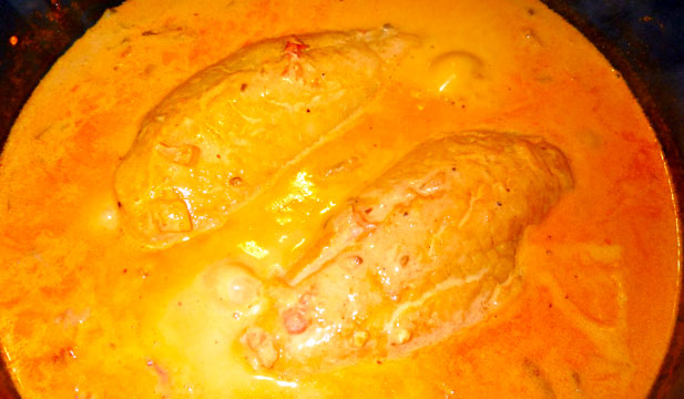 haddock